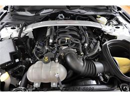 2018 Ford Mustang Shelby GT350 (CC-1831055) for sale in Springfield, Ohio