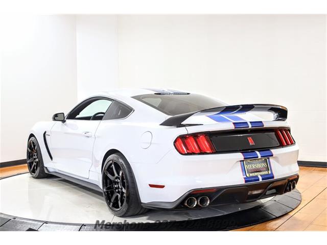 2018 Ford Mustang Shelby GT350 (CC-1831055) for sale in Springfield, Ohio