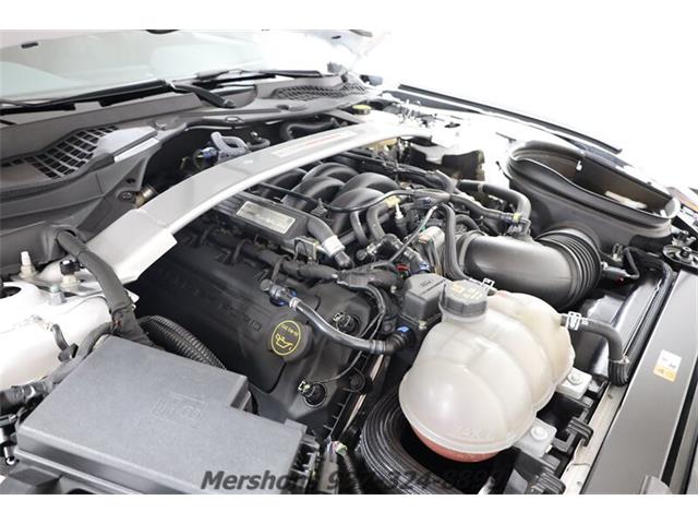 2018 Ford Mustang Shelby GT350 (CC-1831055) for sale in Springfield, Ohio