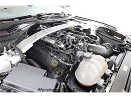 2018 Ford Mustang Shelby GT350 (CC-1831055) for sale in Springfield, Ohio