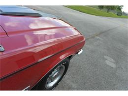 1968 Ford Mustang (CC-1831177) for sale in Miami, Florida
