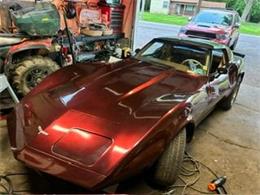 1974 Chevrolet Corvette (CC-1830198) for sale in Cadillac, Michigan