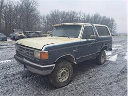 1987 Ford Bronco (CC-1832546) for sale in Thief River Falls, MN, Minnesota