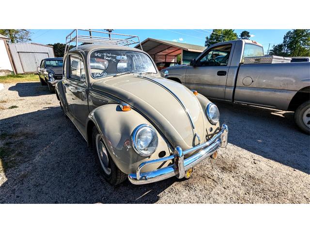 1966 Volkswagen Beetle (CC-1832675) for sale in Gray Court, South Carolina