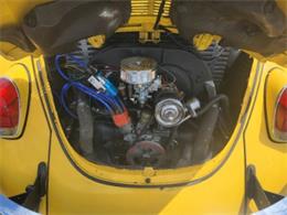 1971 Volkswagen Beetle (CC-1832739) for sale in Miami, Florida