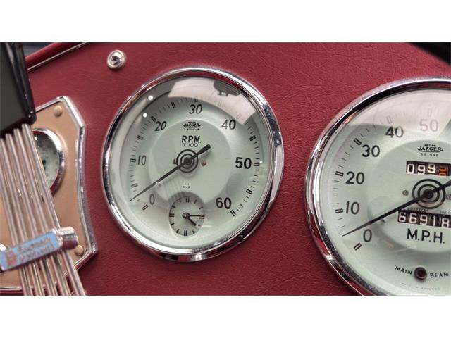 1952 MG TD (CC-1833031) for sale in Clearwater, Florida