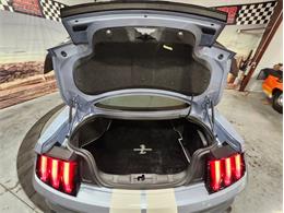 2022 Ford Mustang Shelby GT500 (CC-1833035) for sale in Bristol, Pennsylvania
