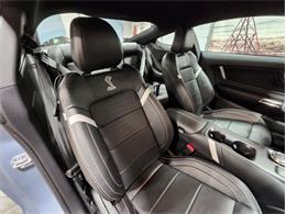 2022 Ford Mustang Shelby GT500 (CC-1833035) for sale in Bristol, Pennsylvania