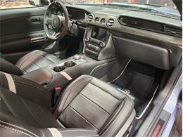 2022 Ford Mustang Shelby GT500 (CC-1833035) for sale in Bristol, Pennsylvania