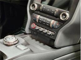 2022 Ford Mustang Shelby GT500 (CC-1833035) for sale in Bristol, Pennsylvania