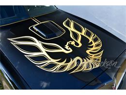 1977 Pontiac Firebird Trans Am (CC-1833157) for sale in West Palm Beach, Florida