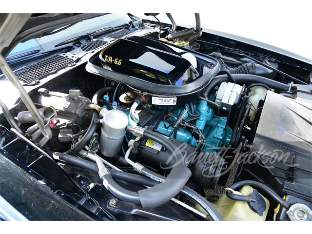 1977 Pontiac Firebird Trans Am (CC-1833157) for sale in West Palm Beach, Florida