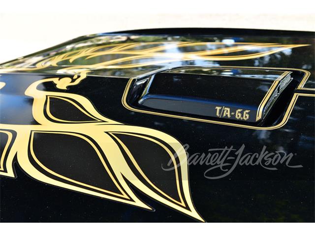 1977 Pontiac Firebird Trans Am (CC-1833157) for sale in West Palm Beach, Florida