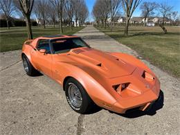 1976 Chevrolet Corvette (CC-1833611) for sale in Shelby Township, Michigan