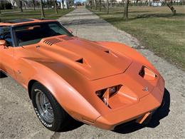 1976 Chevrolet Corvette (CC-1833611) for sale in Shelby Township, Michigan