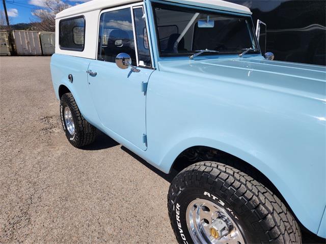 1967 International Scout 800 (CC-1833625) for sale in Lolo, Montana
