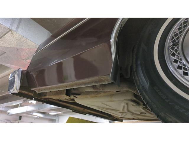 1977 Ford LTD (CC-1833765) for sale in Mankato, Minnesota