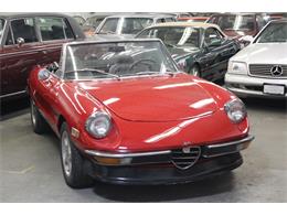 1976 Alfa Romeo 2000 Spider Veloce (CC-1830378) for sale in Elyria, Ohio