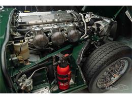1970 Jaguar E-Type (CC-1834236) for sale in Waalwijk, Noord Brabant