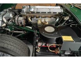 1970 Jaguar E-Type (CC-1834236) for sale in Waalwijk, Noord Brabant
