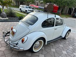 1965 Volkswagen Beetle (CC-1830471) for sale in Miami, Florida