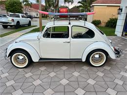 1965 Volkswagen Beetle (CC-1830471) for sale in Miami, Florida