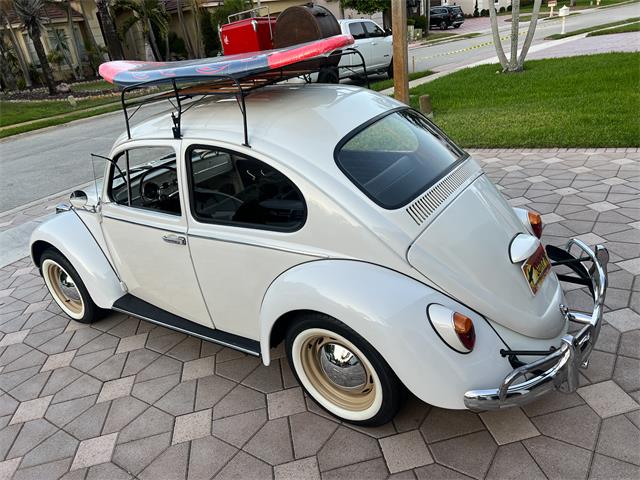 1965 Volkswagen Beetle (CC-1830471) for sale in Miami, Florida