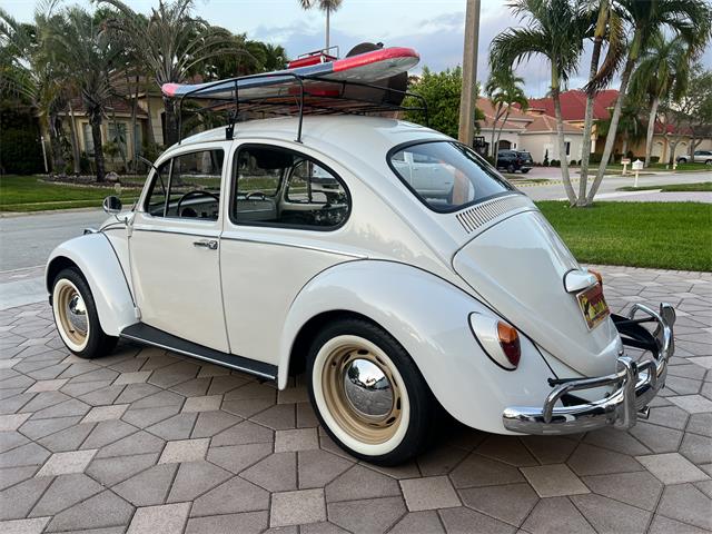 1965 Volkswagen Beetle (CC-1830471) for sale in Miami, Florida