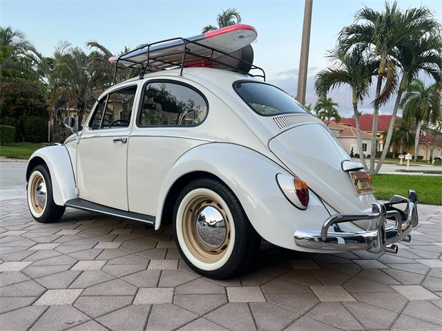 1965 Volkswagen Beetle (CC-1830471) for sale in Miami, Florida