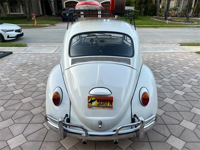 1965 Volkswagen Beetle (CC-1830471) for sale in Miami, Florida