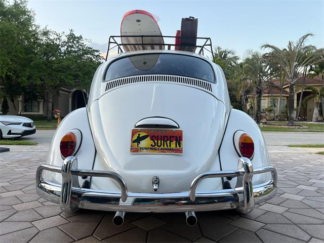 1965 Volkswagen Beetle (CC-1830471) for sale in Miami, Florida