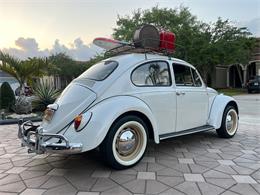 1965 Volkswagen Beetle (CC-1830471) for sale in Miami, Florida