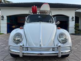 1965 Volkswagen Beetle (CC-1830471) for sale in Miami, Florida
