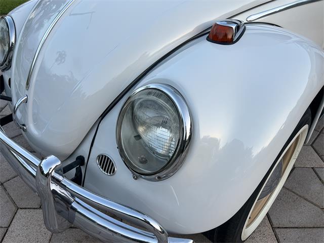 1965 Volkswagen Beetle (CC-1830471) for sale in Miami, Florida