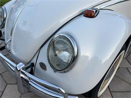 1965 Volkswagen Beetle (CC-1830471) for sale in Miami, Florida