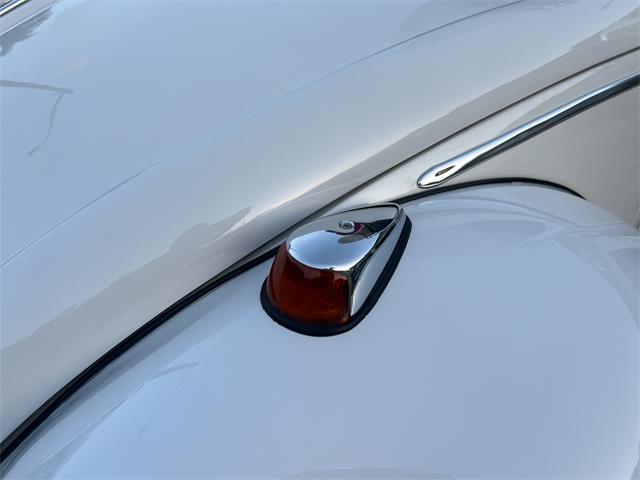 1965 Volkswagen Beetle (CC-1830471) for sale in Miami, Florida