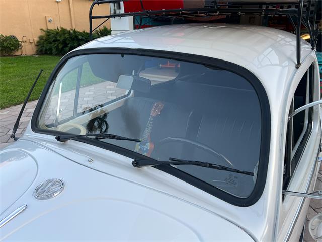 1965 Volkswagen Beetle (CC-1830471) for sale in Miami, Florida