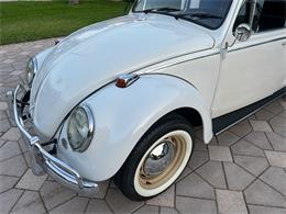 1965 Volkswagen Beetle (CC-1830471) for sale in Miami, Florida