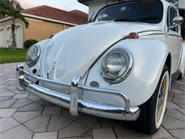 1965 Volkswagen Beetle (CC-1830471) for sale in Miami, Florida