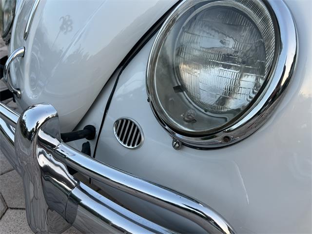 1965 Volkswagen Beetle (CC-1830471) for sale in Miami, Florida