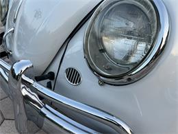 1965 Volkswagen Beetle (CC-1830471) for sale in Miami, Florida