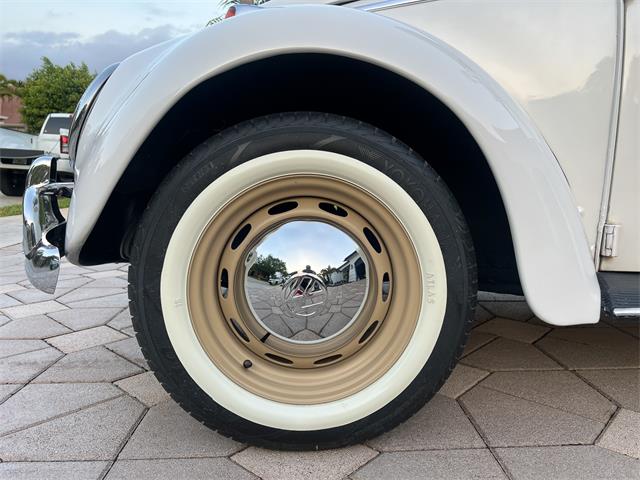 1965 Volkswagen Beetle (CC-1830471) for sale in Miami, Florida