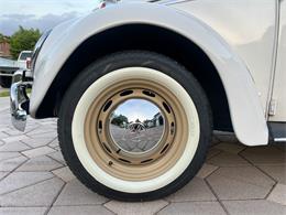 1965 Volkswagen Beetle (CC-1830471) for sale in Miami, Florida