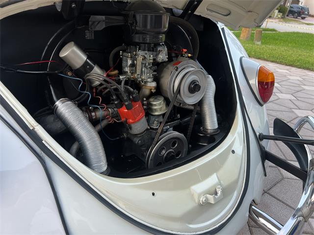 1965 Volkswagen Beetle (CC-1830471) for sale in Miami, Florida