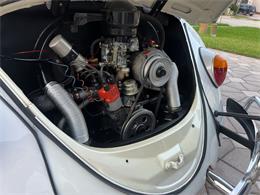 1965 Volkswagen Beetle (CC-1830471) for sale in Miami, Florida