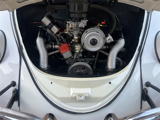 1965 Volkswagen Beetle (CC-1830471) for sale in Miami, Florida