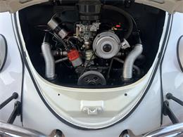 1965 Volkswagen Beetle (CC-1830471) for sale in Miami, Florida