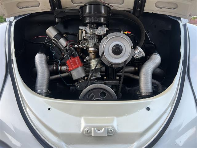 1965 Volkswagen Beetle (CC-1830471) for sale in Miami, Florida
