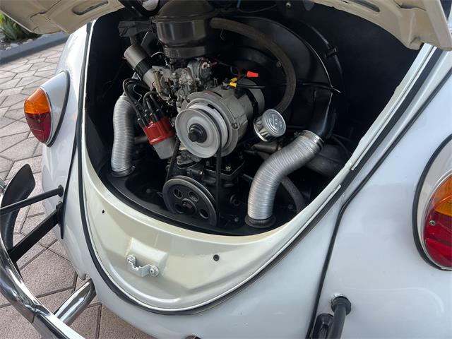1965 Volkswagen Beetle (CC-1830471) for sale in Miami, Florida