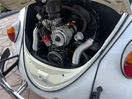1965 Volkswagen Beetle (CC-1830471) for sale in Miami, Florida
